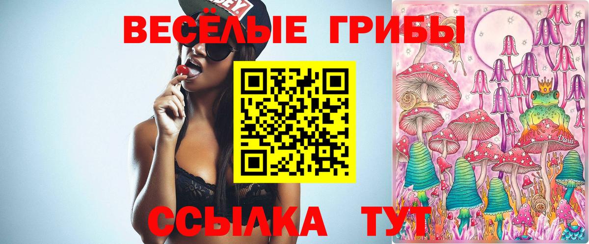 Галлюциногенные грибы Cubensis Тимашёвск
